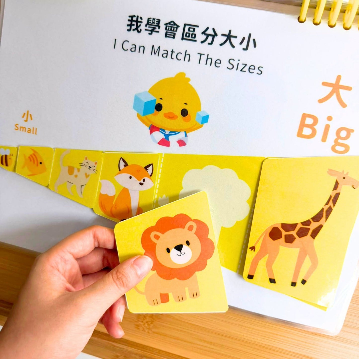【幼兒教材】人手製作 - 得得Busy Book